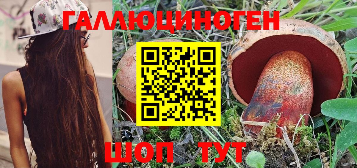Тула  Псилоцибиновые грибы прущие грибы  даркнет сайт  Вход с VPN 